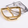 pin buckle1 27