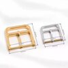 pin buckle4 1